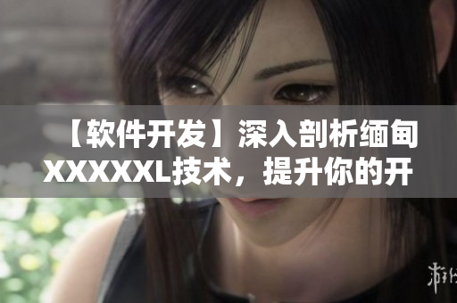 【软件开发】深入剖析缅甸XXXXXL技术，提升你的开发技能！
