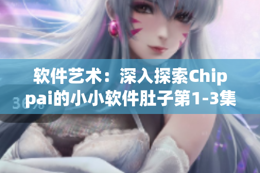 软件艺术：深入探索Chippai的小小软件肚子第1-3集