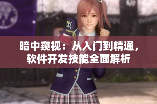 暗中窥视：从入门到精通，软件开发技能全面解析
