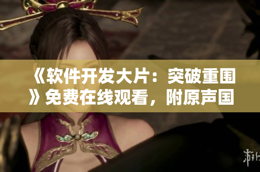 《软件开发大片：突破重围》免费在线观看，附原声国语配音！