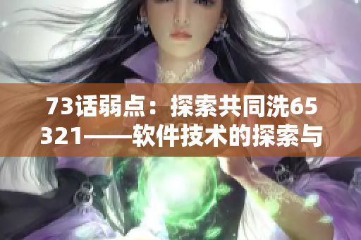 73话弱点：探索共同洗65321——软件技术的探索与分享