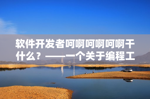 软件开发者呵啊呵啊呵啊干什么？——一个关于编程工作的思考