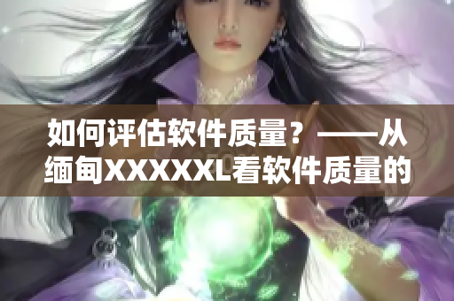 如何评估软件质量？——从缅甸XXXXXL看软件质量的重要性