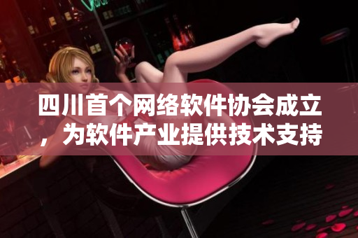 四川首个网络软件协会成立，为软件产业提供技术支持和合作机会