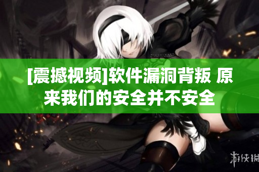 [震撼视频]软件漏洞背叛 原来我们的安全并不安全
