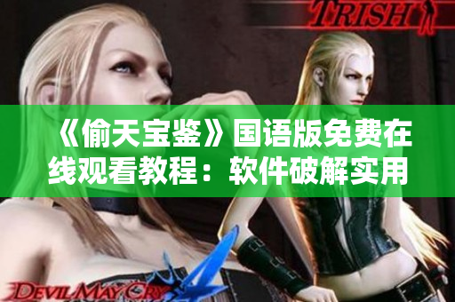 《偷天宝鉴》国语版免费在线观看教程：软件破解实用指南，助你畅享高清观影