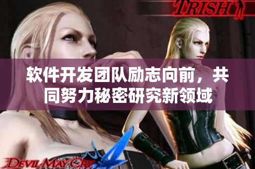软件开发团队励志向前，共同努力秘密研究新领域