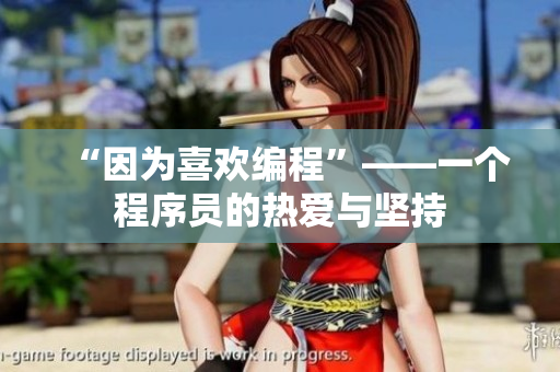 “因为喜欢编程”——一个程序员的热爱与坚持