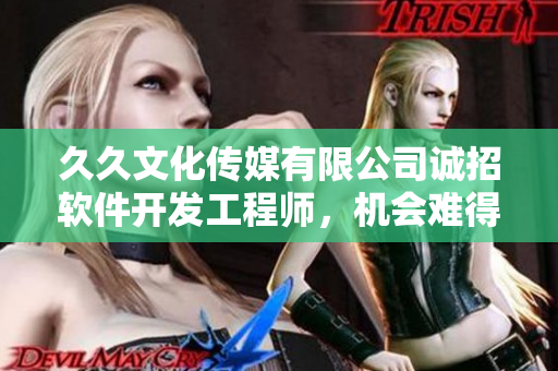 久久文化传媒有限公司诚招软件开发工程师，机会难得，快来应聘!