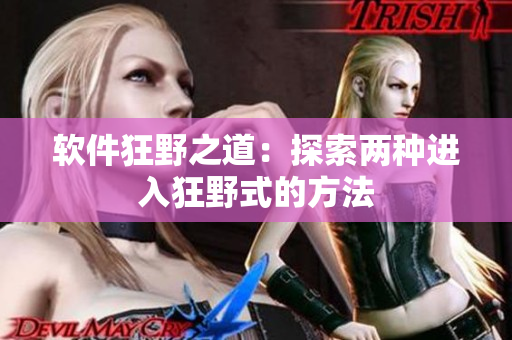 软件狂野之道：探索两种进入狂野式的方法