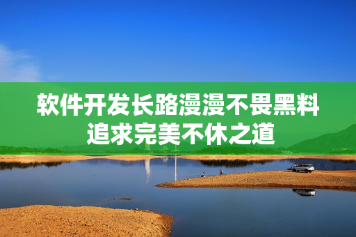 软件开发长路漫漫不畏黑料 追求完美不休之道