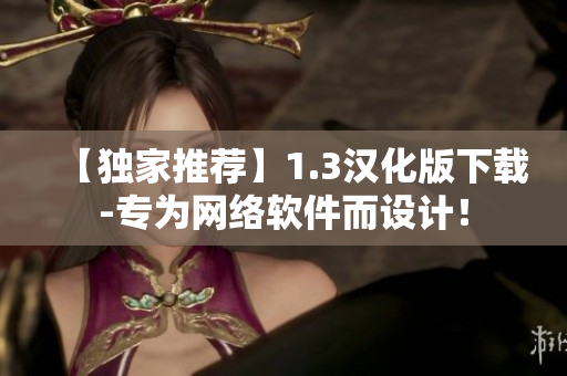 【独家推荐】1.3汉化版下载-专为网络软件而设计！