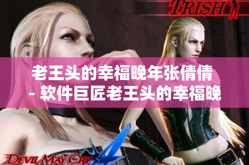 老王头的幸福晚年张倩倩 - 软件巨匠老王头的幸福晚年篇