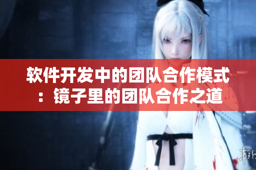 软件开发中的团队合作模式：镜子里的团队合作之道