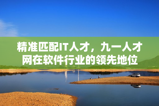 精准匹配IT人才，九一人才网在软件行业的领先地位