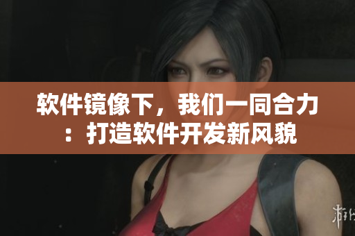 软件镜像下，我们一同合力：打造软件开发新风貌