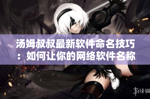 汤姆叔叔最新软件命名技巧：如何让你的网络软件名称更加出众？