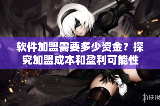 软件加盟需要多少资金？探究加盟成本和盈利可能性