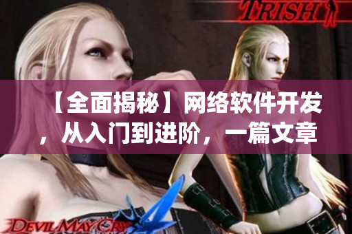 【全面揭秘】网络软件开发，从入门到进阶，一篇文章带你get技能！