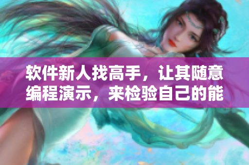 软件新人找高手，让其随意编程演示，来检验自己的能力