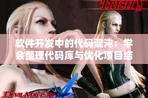 软件开发中的代码混沌：学会整理代码库与优化项目结构