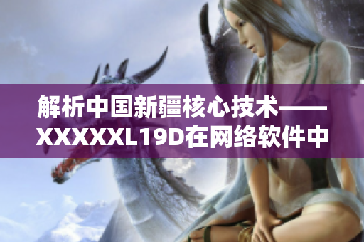 解析中国新疆核心技术——XXXXXL19D在网络软件中的应用探秘