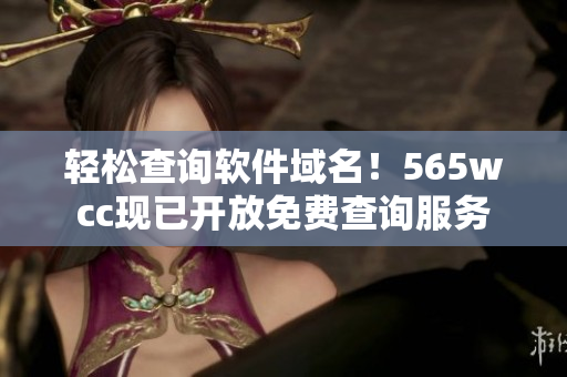 轻松查询软件域名！565wcc现已开放免费查询服务