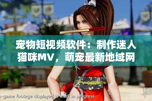 宠物短视频软件：制作迷人猫咪MV，萌宠最新地域网名大揭秘