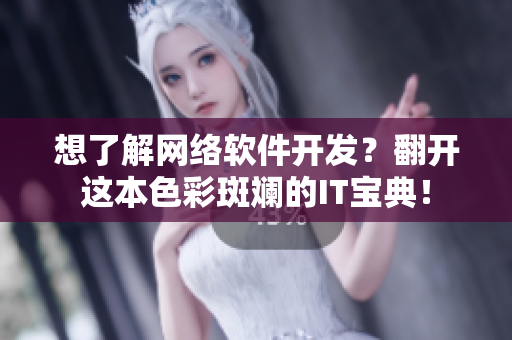 想了解网络软件开发？翻开这本色彩斑斓的IT宝典！