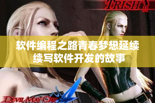 软件编程之路青春梦想延续 续写软件开发的故事