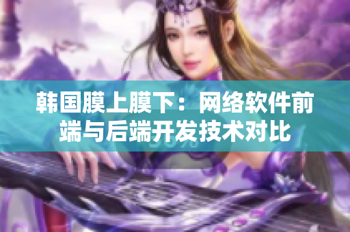 韩国膜上膜下：网络软件前端与后端开发技术对比