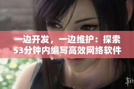 一边开发，一边维护：探索53分钟内编写高效网络软件的技巧