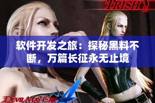 软件开发之旅：探秘黑料不断，万篇长征永无止境