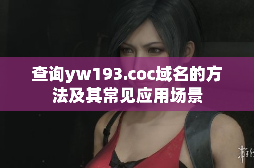 查询yw193.coc域名的方法及其常见应用场景