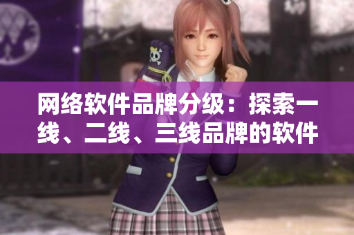 网络软件品牌分级：探索一线、二线、三线品牌的软件开发领域优势与挑战