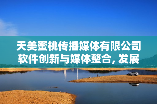 天美蜜桃传播媒体有限公司软件创新与媒体整合, 发展探索共融之道