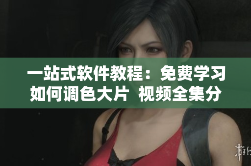 一站式软件教程：免费学习如何调色大片  视频全集分享