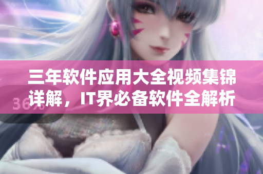 三年软件应用大全视频集锦详解，IT界必备软件全解析，实用技巧一览无遗