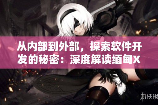 从内部到外部，探索软件开发的秘密：深度解读缅甸XXXXXL