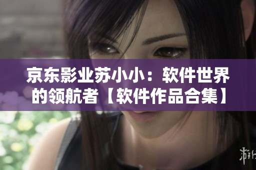京东影业苏小小：软件世界的领航者【软件作品合集】