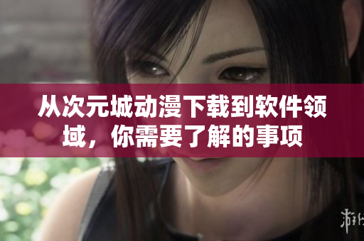从次元城动漫下载到软件领域，你需要了解的事项