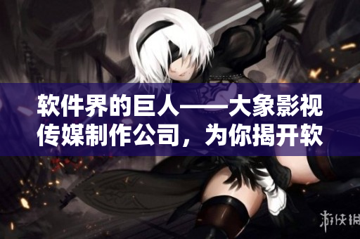 软件界的巨人——大象影视传媒制作公司，为你揭开软件开发神秘面纱