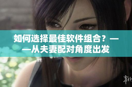 如何选择最佳软件组合？——从夫妻配对角度出发