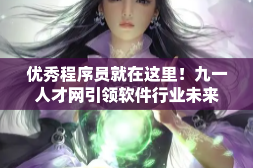 优秀程序员就在这里！九一人才网引领软件行业未来