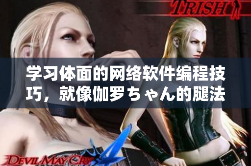 学习体面的网络软件编程技巧，就像伽罗ちゃん的腿法教学视频一样