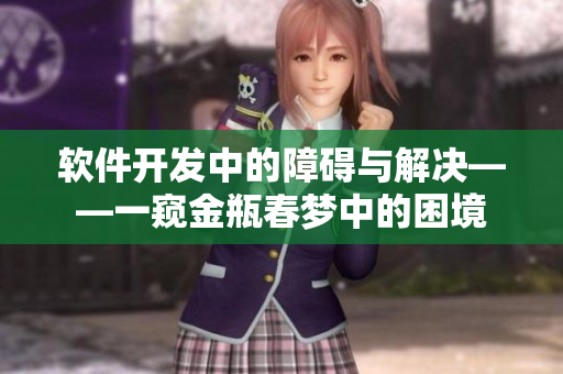 软件开发中的障碍与解决——一窥金瓶春梦中的困境