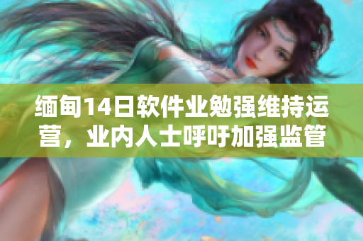 缅甸14日软件业勉强维持运营，业内人士呼吁加强监管机制