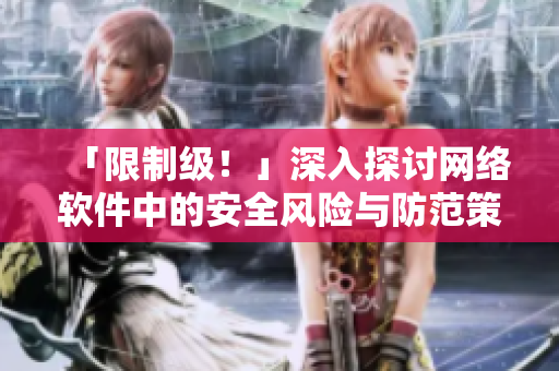 「限制级！」深入探讨网络软件中的安全风险与防范策略