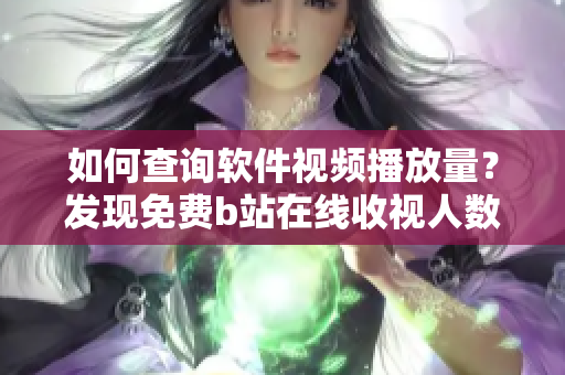 如何查询软件视频播放量？发现免费b站在线收视人数技巧