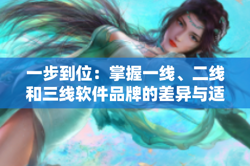 一步到位：掌握一线、二线和三线软件品牌的差异与适用场景
